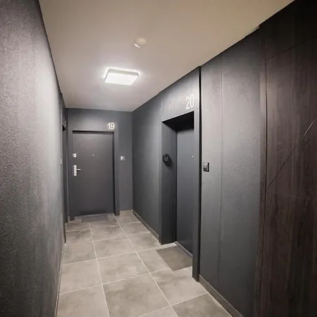 Zauchy Modern