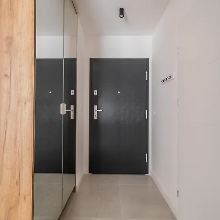 Zauchy Modern *